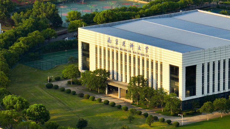 体育馆2025.7