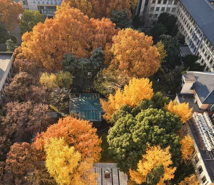 岁月阁